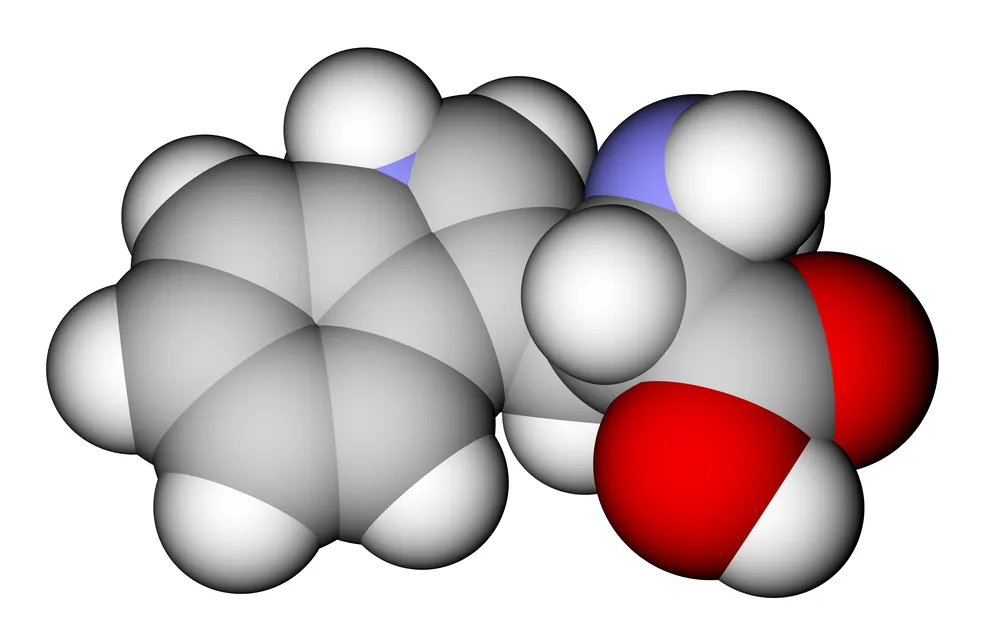 Modelo 3D del aminoácido triptófano exógeno.