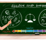 Equilibrio ácido-base – Yuka