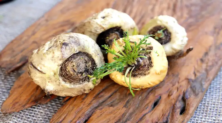 raices de maca