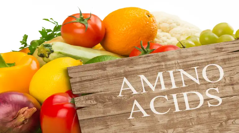 Fuentes de aminoácidos en los alimentos.