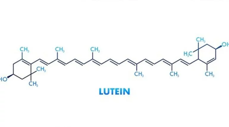 LUTEÍNA