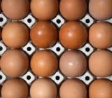 Huevo en la dieta. ¿Por qué tiene sentido incluir huevos en tu dieta?
